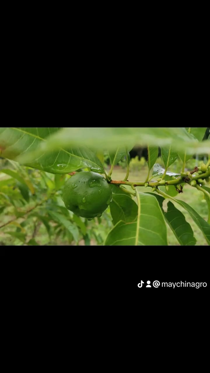 Agriculure Images